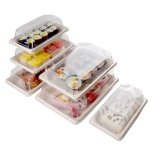 Best Selling Picnic Takeaway Sushi Box