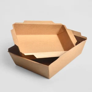 Wholesale Fruit Rectangle Take Away Box Kraft Paper Lunch Bento Salad Packaging Box with Transparent PET Lids
