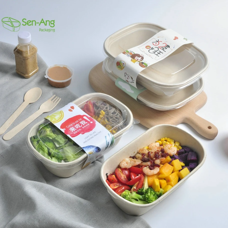 Bagasse Pulp Food Packaging Container Eco Friendly Biodegradable Sugarcane Box - Image 6