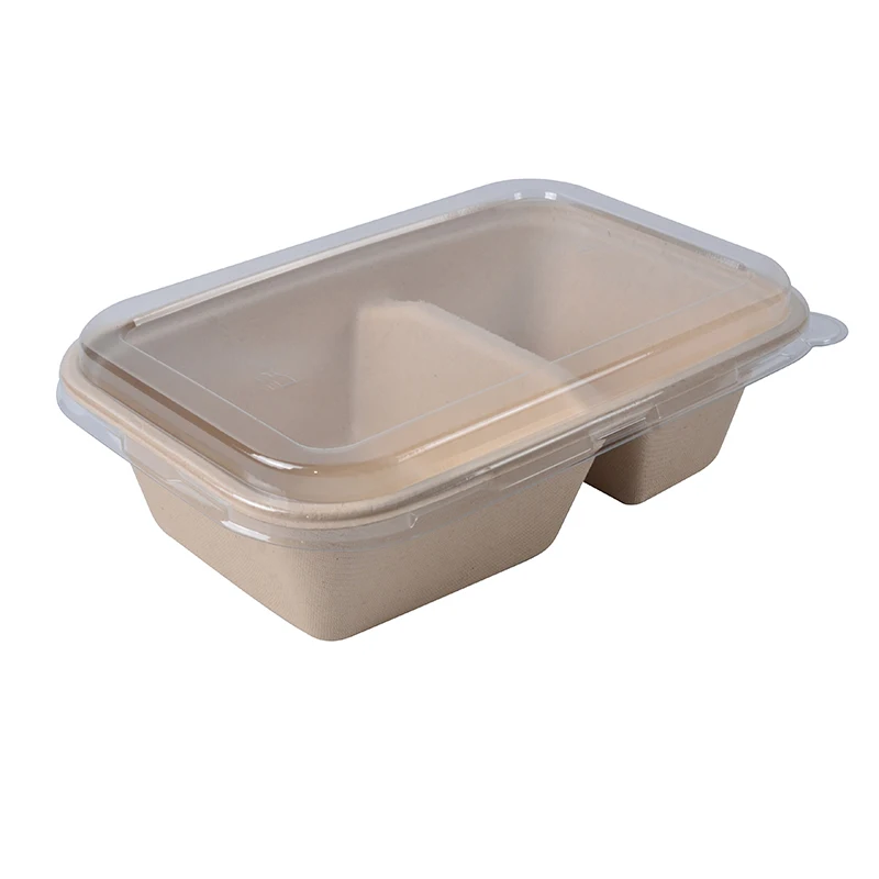 Wholesale Custom Disposable Biodegradable Food Packaging Container with Lid - Image 3