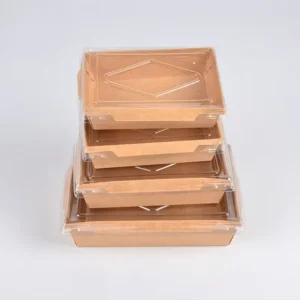 Disposable Kraft Paper Takeaway Box Clear Lid Custom Print Matt Lamination for Sushi Salad Wholesale Food Container