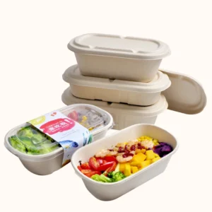 Disposable Biodegradable Sugarcane Bagasse Pulp Food Container Take Away Lunch Box with Lid