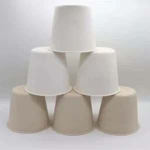 Factory Direct Sale Biodegradable Custom 6 8 Oz Disposable Bagass Pulp Hot Drink With Lid Compostable Coffee Cup