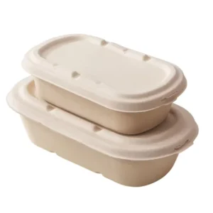 Biodegradable Disposable Steamable White Rectangle Catering Containers Lunch Box