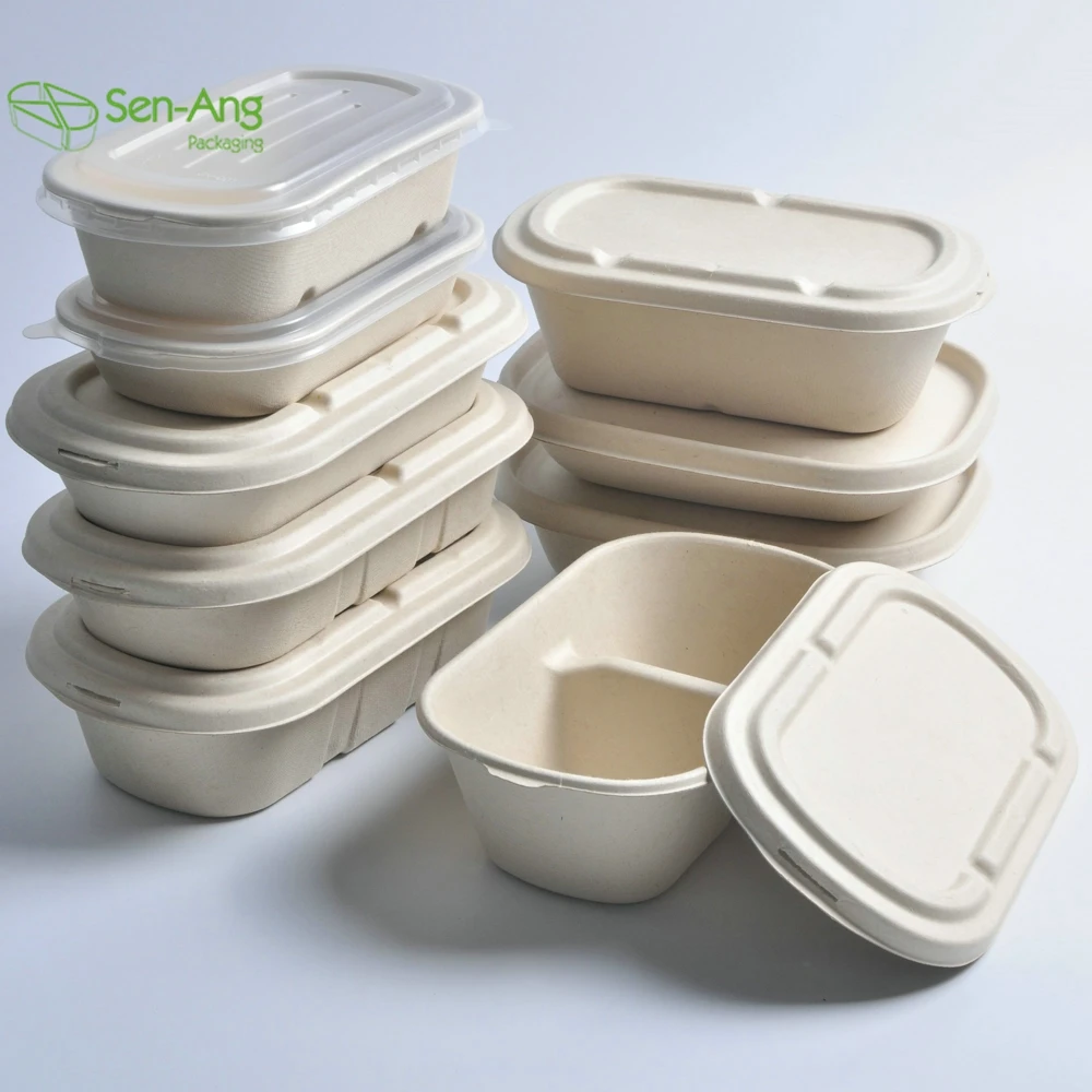 Disposable 700ml 850ml 1000ml Paper Pulp Bagasse Sugarcane Biodegradable Packaging for Food - Image 6