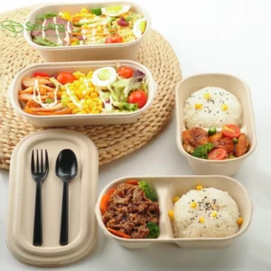 700ml 850ml 1000ml Disposable Biodegradable Lunch Paper Pulp Bagasse Sugarcane Box