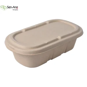 Factory Price Biodegradable Take Away Lunch Box
