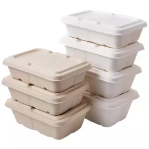 Custom Biodegradable Sugarcane Bagasse Pulp Rectangle Take Away Meal Box with Lid
