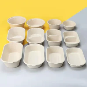 Disposable 700ml 850ml 1000ml Paper Pulp Sugarcane Biodegradable Bagasse Lunch Box