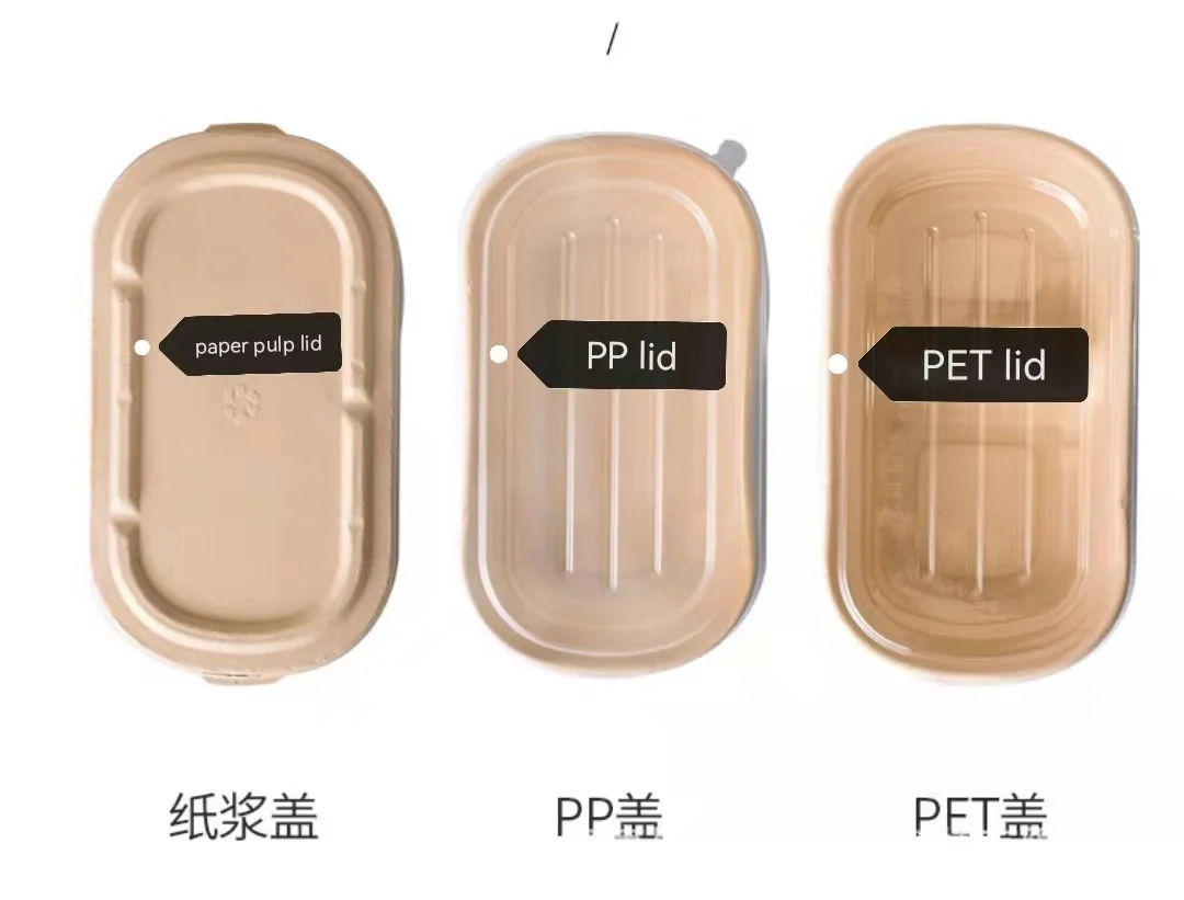 Pulp Box Compost Biodegradable Wholesale Disposable Sugarcane Bagasse Paper Food Box with Lid - Image 6