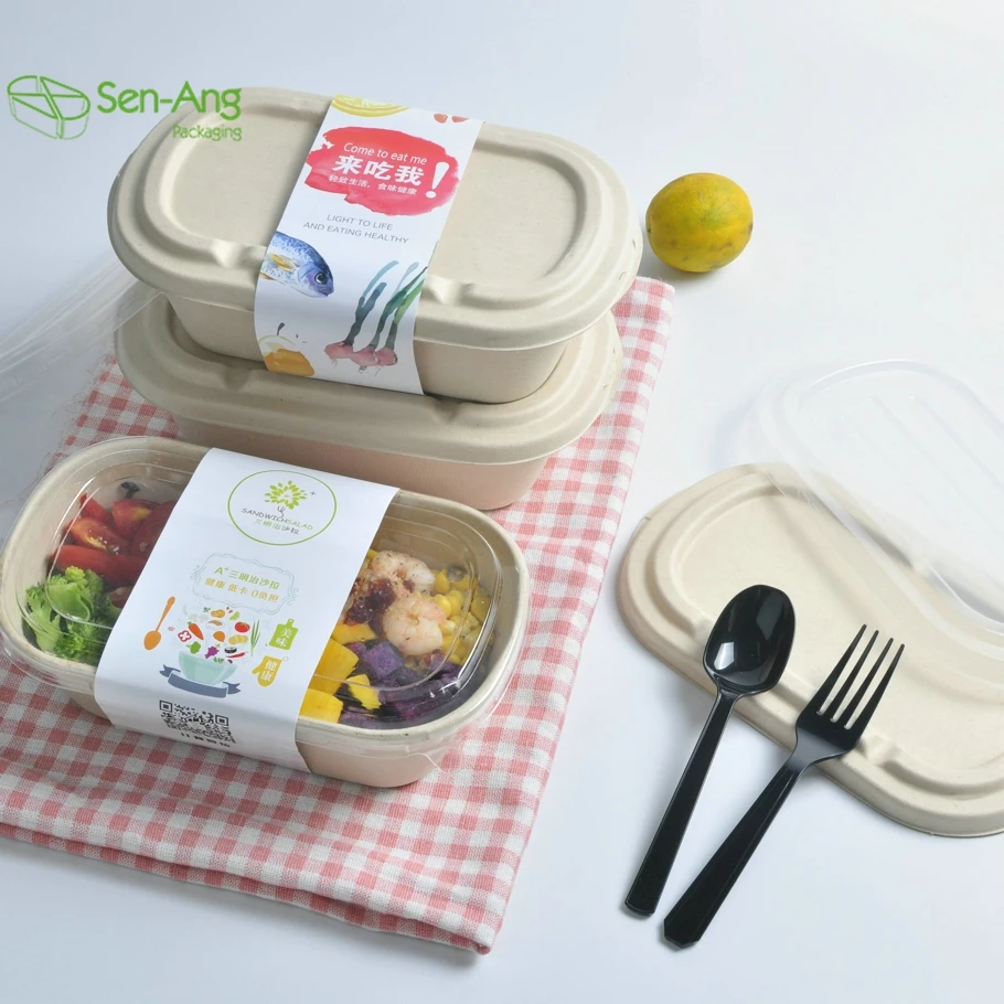 Factory Wholesale Disposable Paper 800Ml Sugarcane Pulp Food Lid Compartment Clam Shell Take Away Bagasse Box - Image 2