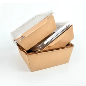 Disposable Rigid Lunch Packing Sushi Paper Takeaway Food Box with Clear Window Matt Lamination Embossing