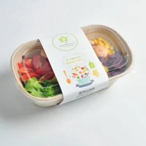 Bagasse Pulp Food Packaging Container Eco Friendly Biodegradable Sugarcane Box