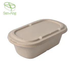 Best Selling Biodegradable Paper Salad Custom Take Away Food Pulp Plate Sugarcane Bagasse Lunch Box With Lid