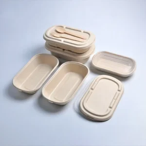 Best Price Bagasse Hamburger Sugarcane Pulp Food Lid Oval Plate With Compartment Take Away Clamshell Burger Box