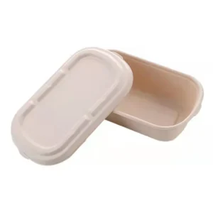 500Ml Biodegradable Paper Salad Custom Disposable Bagasse Pulp Bowl With Lid Take Away Sugarcane Food Container