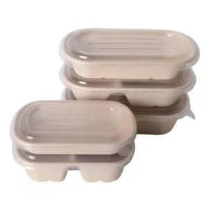 Disposable Lunch Box Biodegradable Sugarcane Pulp Take Away Food Container
