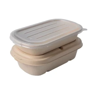 Sushi Container Sugarcane Sustainable Fibre Box Take Way Meal Food Lid 500Ml Sugarcanebentolunchbox