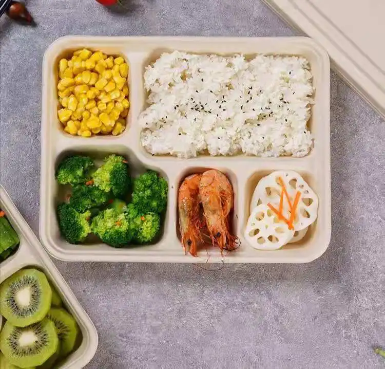 Microwavable Rectangle Sugarcane Pulp Bento Take Away Box 8 Inch 3 Compartment Food Container - Image 2