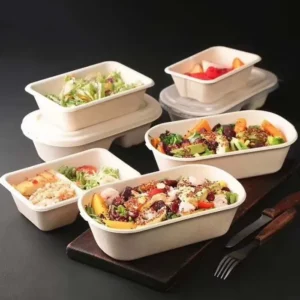 Coffee Cup Lid Catering Tray Clamshell 1 2 3 Takeaway to Go Food Sugarcane Bagasse Container