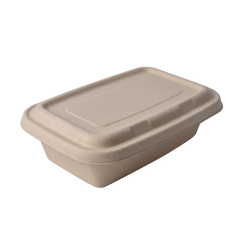 Wholesale Custom Disposable Biodegradable Food Packaging Container with Lid - Image 4