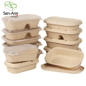 Coffee Lid Food Container Biodegradable Cake Cookie Compartment Tray Party Sugarcane Box
