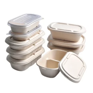 850/850 2cells 1000/1000ml 2 Cells Disposable Container Take Away Food Containers Sugarcane Deli Box