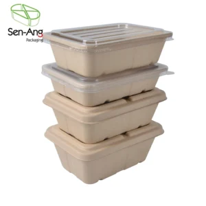 Bagasse Sugarcane Biodegradable Self-Erecting Lunch Box for Sushi Snacks-3/4/5 Compartment Takeaway Food Tray (15g/30g/50g)