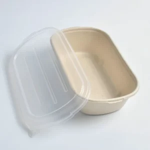 New Product 700Ml Sugarcane Tray Take Away Food Pulp Plate Multi Compartment Bagasse Lunch Box With Lid