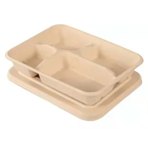 Microwavable Rectangle Sugarcane Pulp Bento Take Away Box 8 Inch 3 Compartment Food Container
