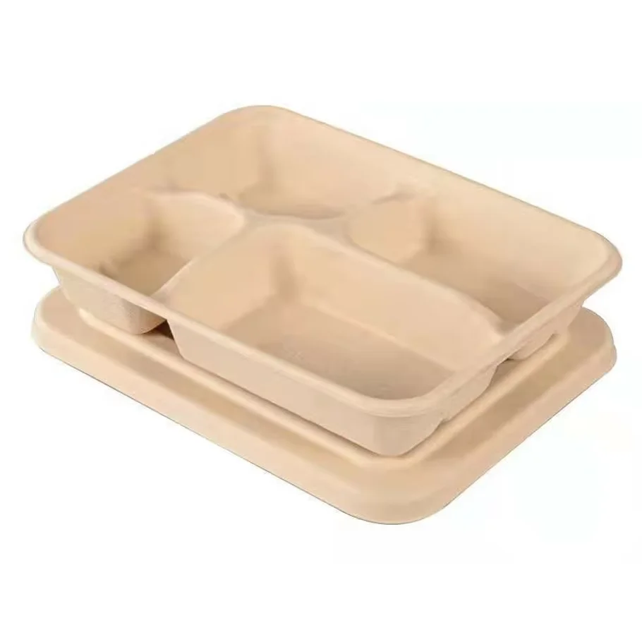 Microwavable Rectangle Sugarcane Pulp Bento Take Away Box 8 Inch 3 Compartment Food Container