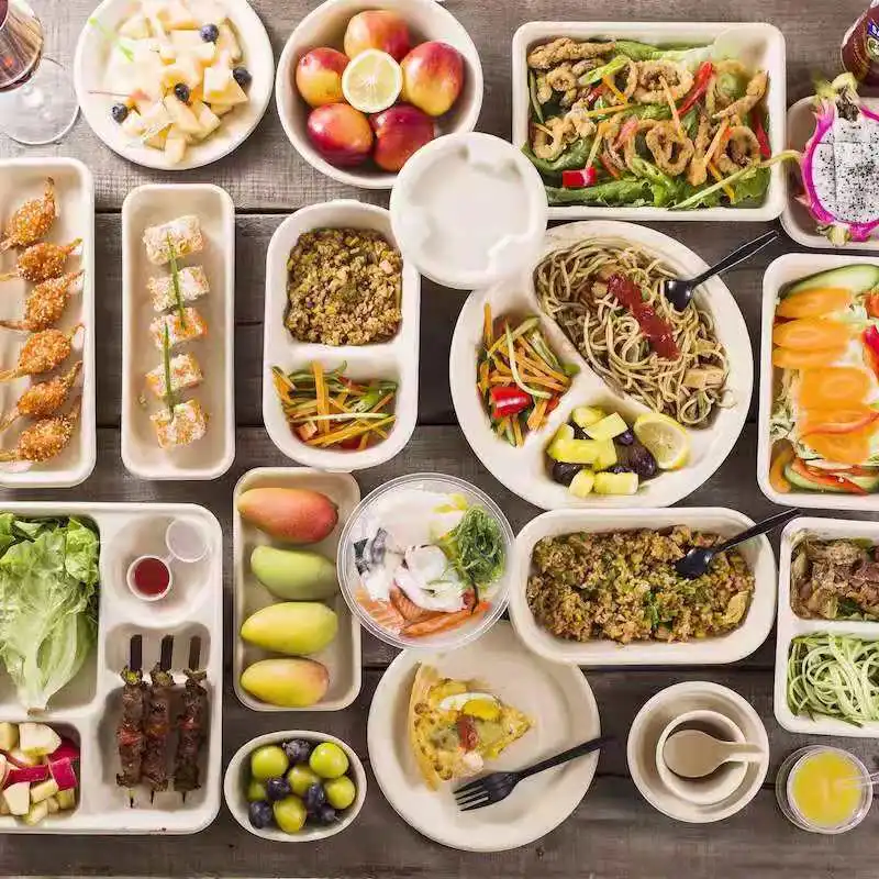 Bagasse Box Microwave Safe Disposable Pulp Paper Lunch Box - Image 6