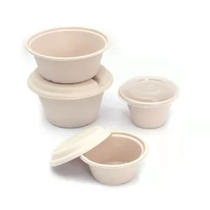 Disposable Paper Pulp Biodegradable Takeout Take Away Sugarcane Bagasse Bowl
