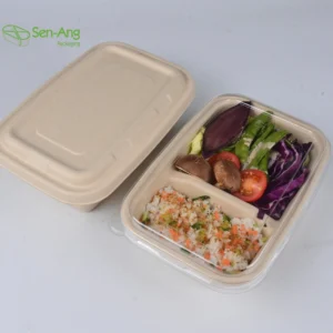 Promotion Reusable Lunch Plate 850Ml Multi Food Box With Lid Sugarcane Pulp Shallow 3 Compartment Tray