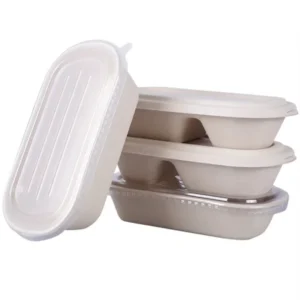 Sugar Cane Shipping Box Sugarcane Bagasse Clamshell Oval Rectangle Compartment Food Container