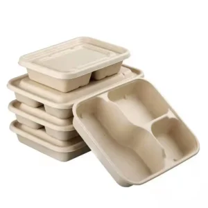 Multi Compartment Biodegradable Rectangle Meal Tray Bagasse Pulp Bento Box with Lid